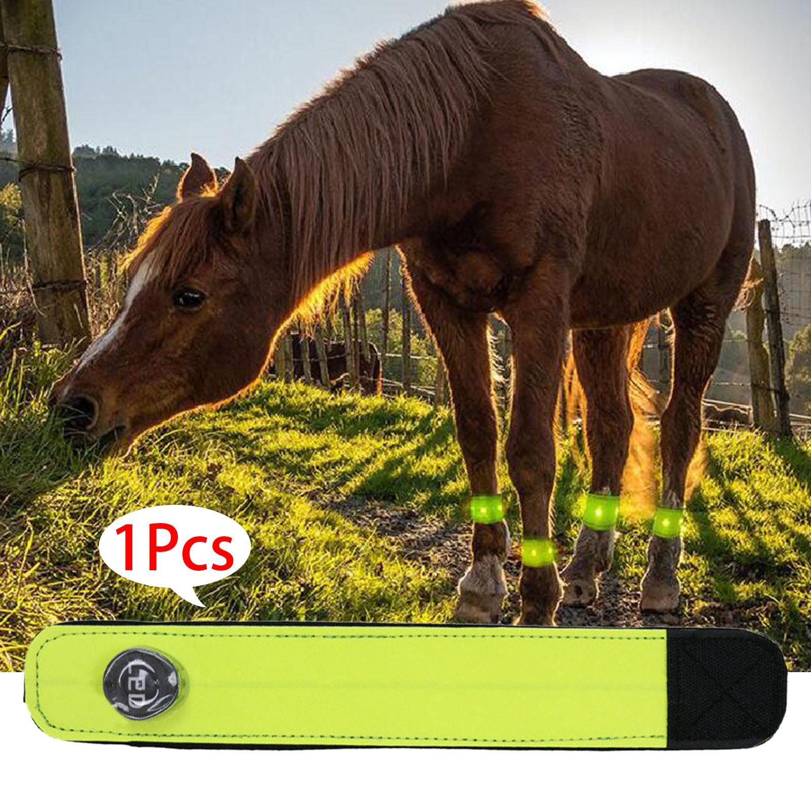 LED Horse Ankle Strap Legging Leg Belt for Jumping Running Night Riding