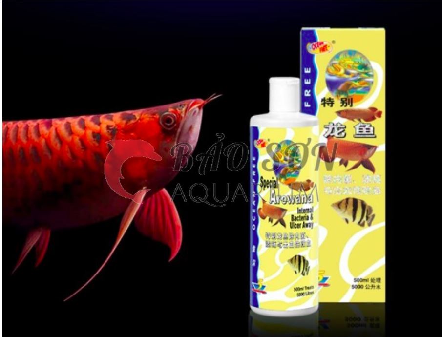 Chai thuốc số 5 - chữa bệnh nấm lở, loét , đục mắt, xù vảy vẩy, sình bụng cho cá rồng