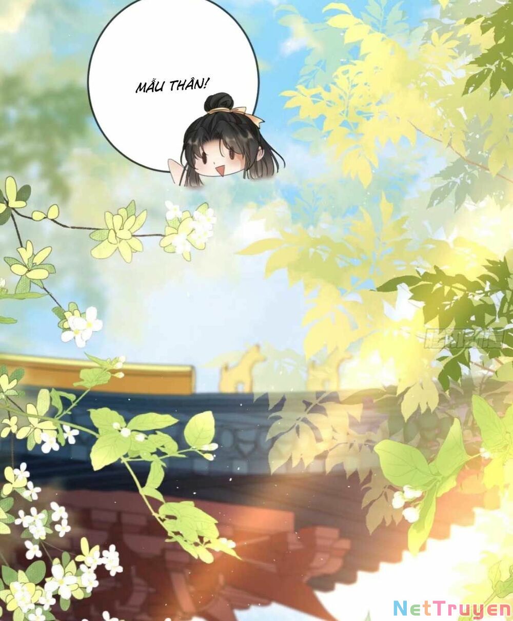 sự trả thù của vương phi chapter 10 6