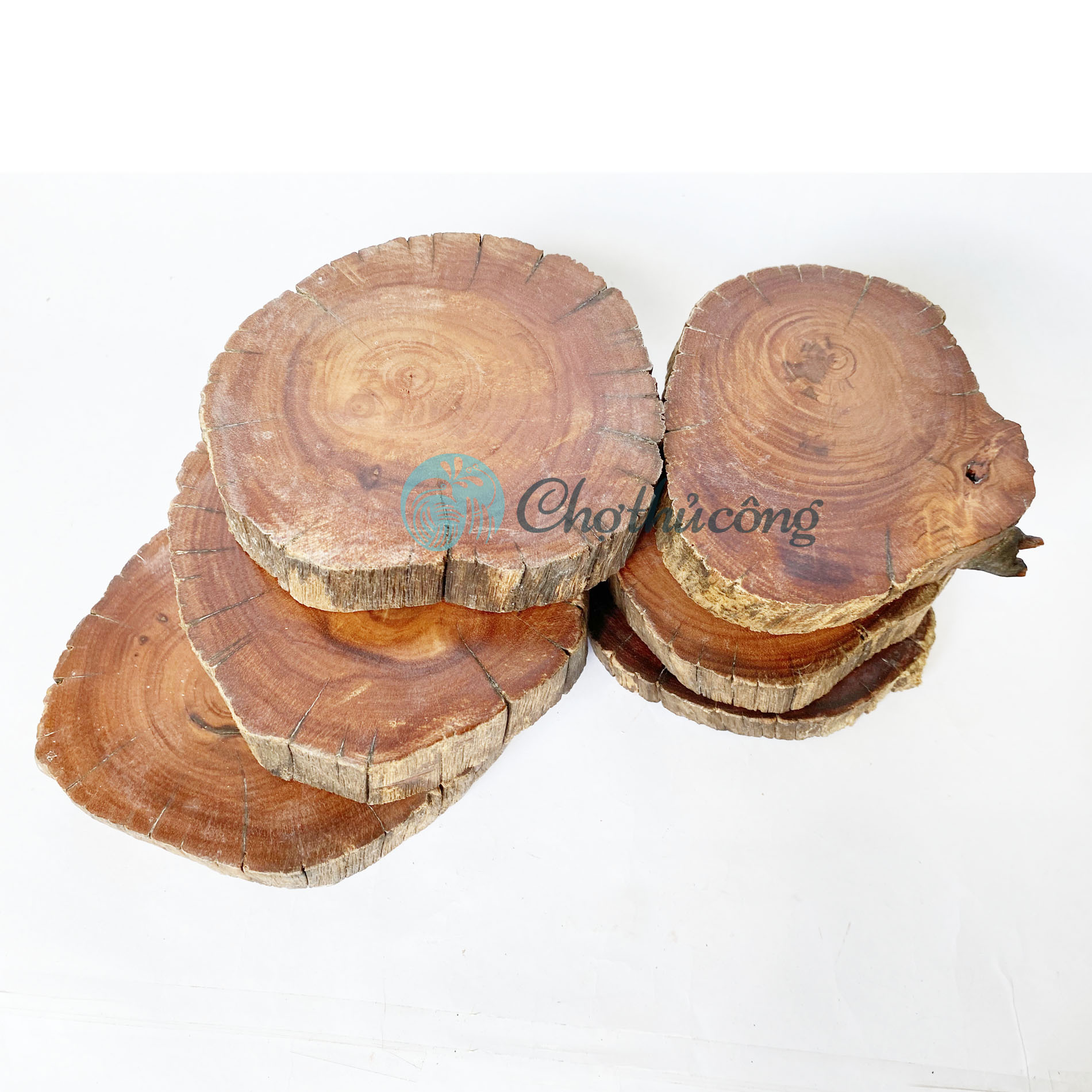Lót cốc, đế lót ly gỗ lũa tự nhiên - Miếng gỗ tròn decor - đế gỗ tròn lót chậu cây, đế gỗ kê tượng, lát gỗ trang trí