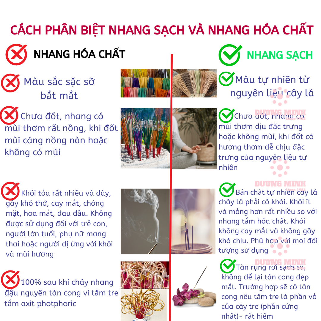 Nhang thơm khuynh diệp Dương Minh nhang xanh tự nhiên từ lá khuynh diệp - nhang sạch 100% nguyên liệu organic