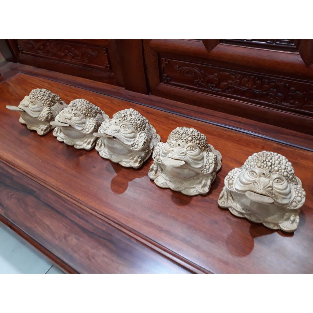 Thiềm thừ gỗ ngọc am quý hiếm thơm nức mũi