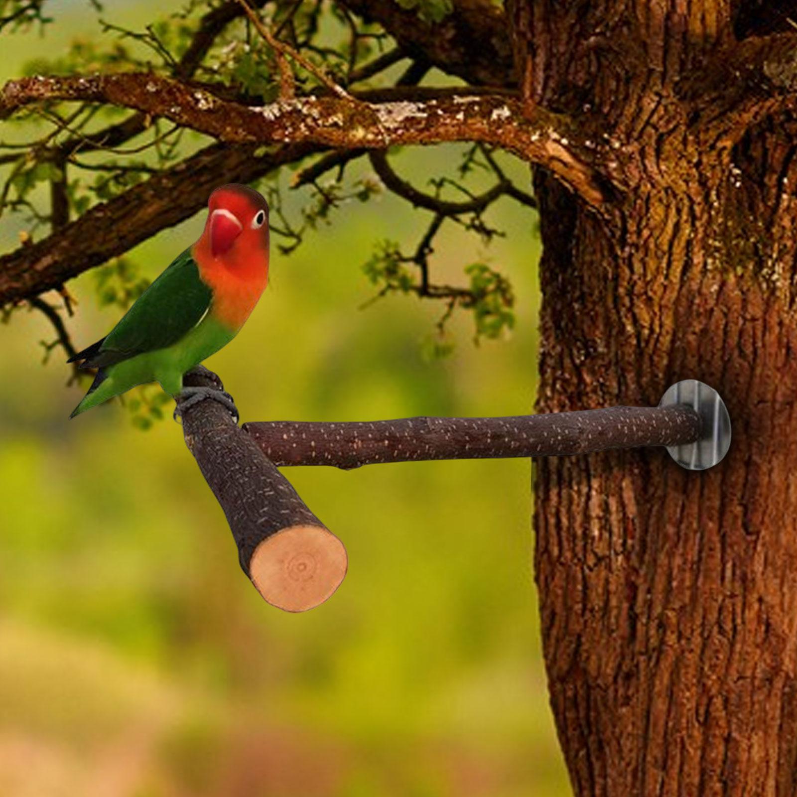 Parrot Perch Bird Stand Pole Wood Parrot Perch Stand Bird Cage Perch for Parakeet Finches Cockatiel