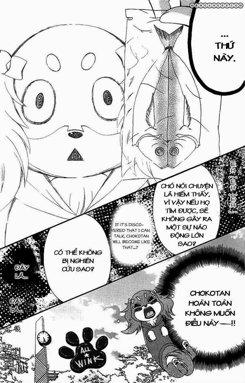 chokotan! chapter 1 7