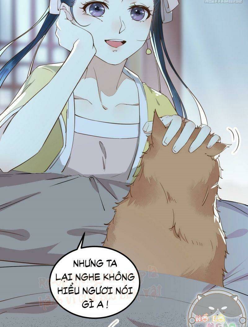 sát thủ vương phi không dễ chọc chapter 38 15