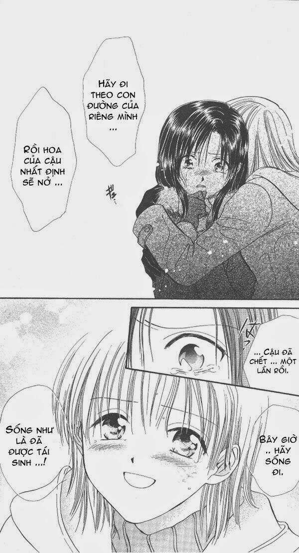 cô bé nghèo khó chapter 25 25