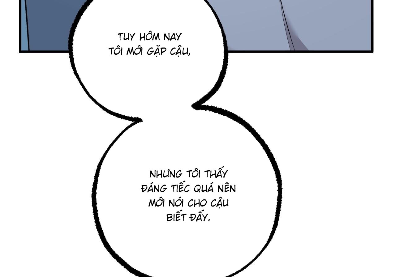 những chú thỏ của hapypy chapter 60 132