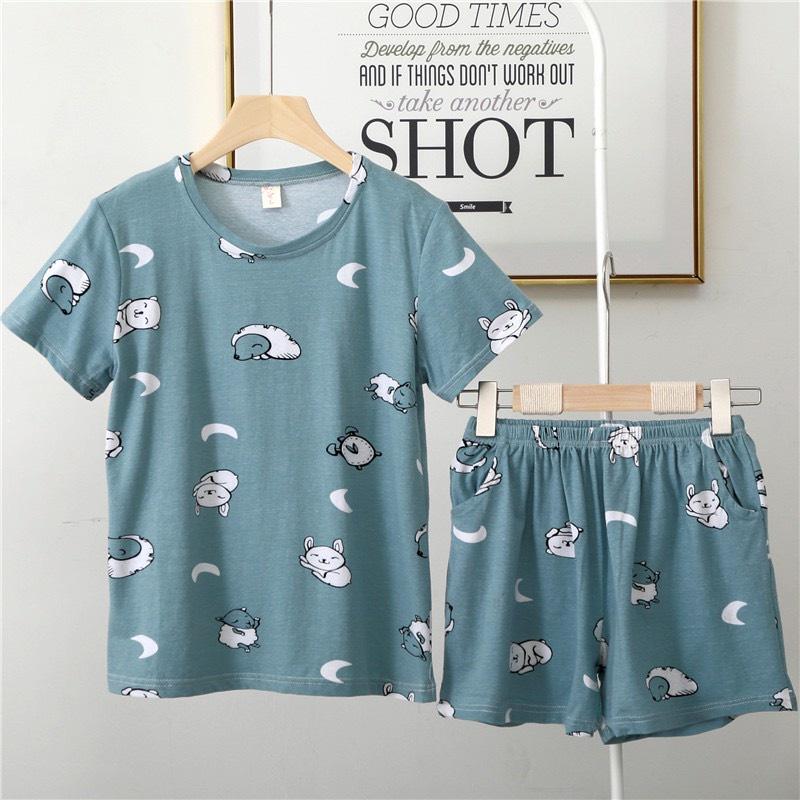 Bộ đồ cotton tinh khiết mùa hè ngắn tay quần đùi bộ đồ Hàn Quốc in hình dễ thương dịch BK07