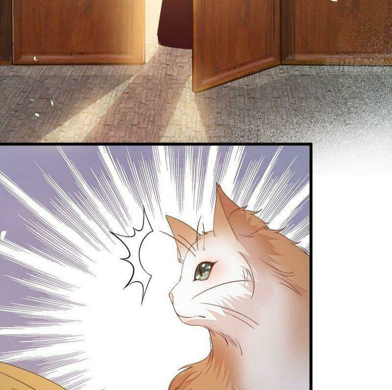 sát thủ vương phi không dễ chọc chapter 32 44