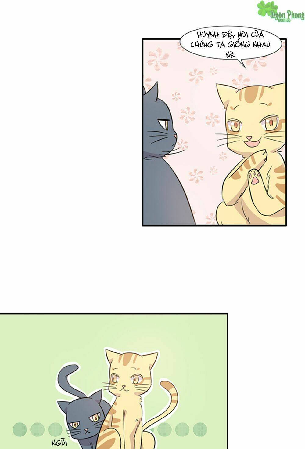 hai chú mèo totem chapter 14 19