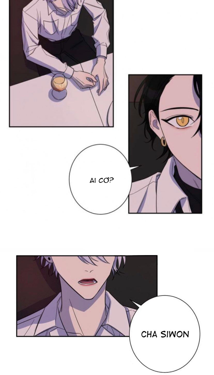 khẩu vị và sự tôn thờ của người yêu tôi chapter 18 23