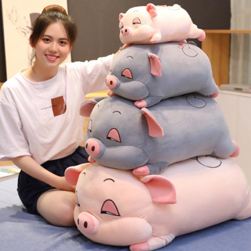 Gấu Bông Heo Phê Cần, Heo Mắt Híp Lợn Ngủ Đờ Đẫn Siêu Yêu