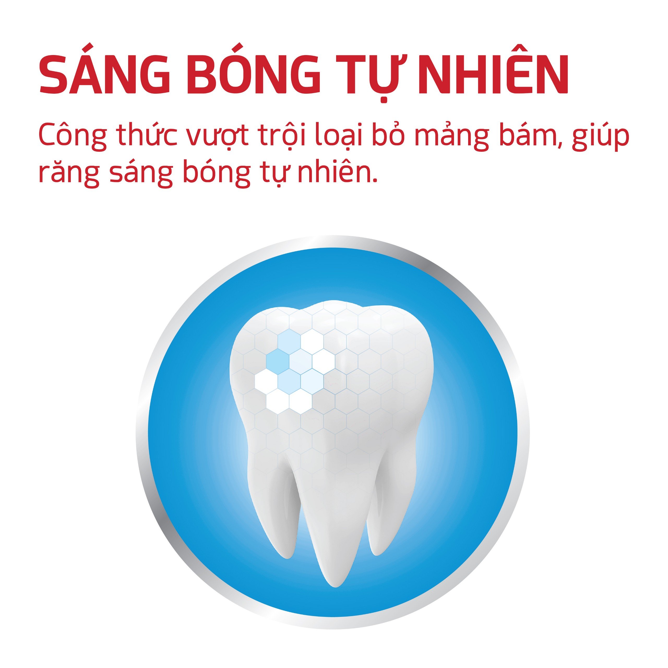 Bộ Đôi Siêu Tiết Kiệm Kem Đánh Răng Lipzo 3 Tác Dụng 02 Tuýp 190Gram Tái Tạo Men Răng Trắng Răng Ngừa Sâu Răng Thơm Mát