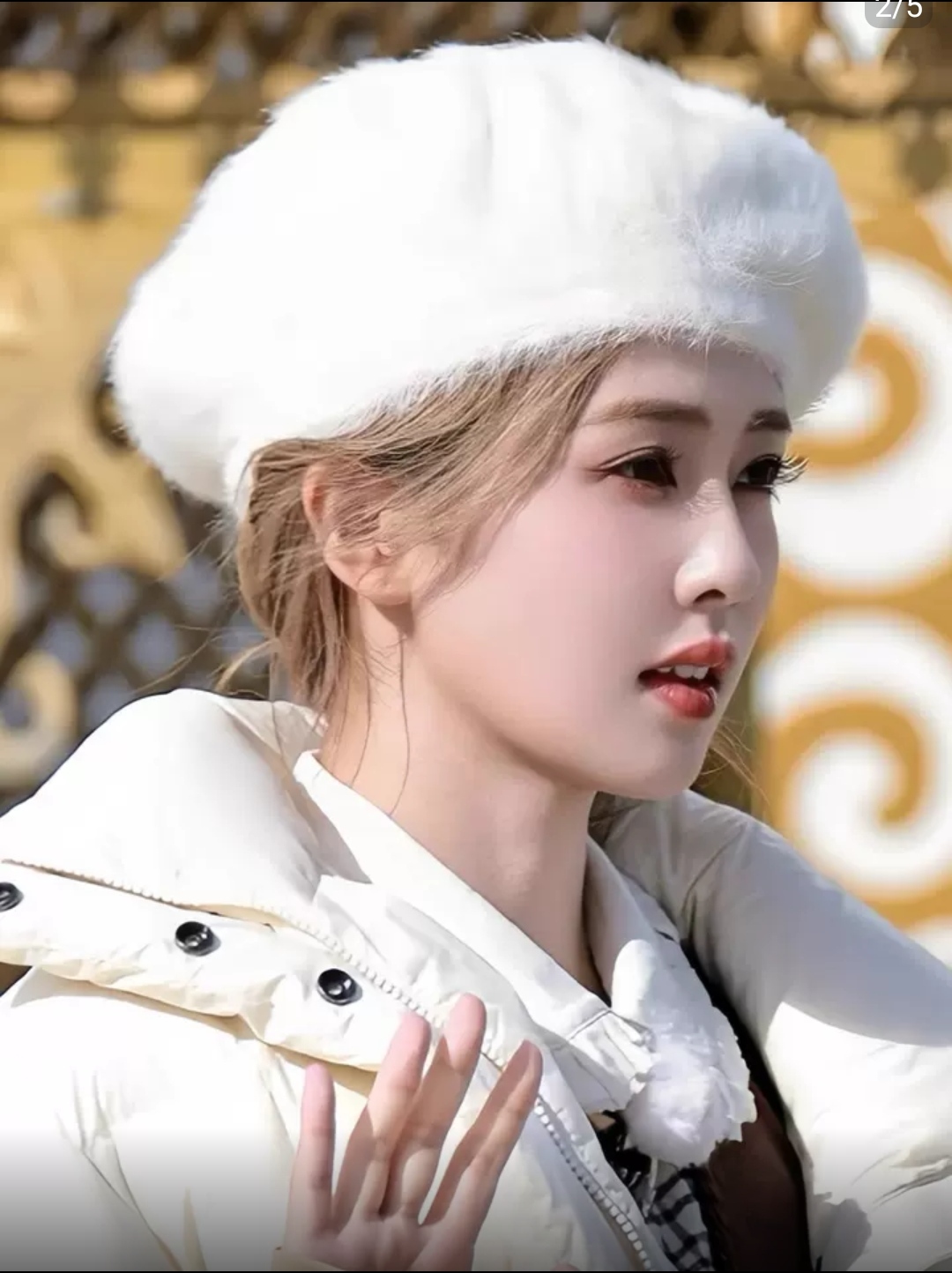 Nón Beret Mũ Nồi Nam Nữ Lông Thỏ Thời Trang Hàn Quốc Chất Liệu Len Nỉ Lông Thỏ Phong Cách Sang Trọng dona25122601