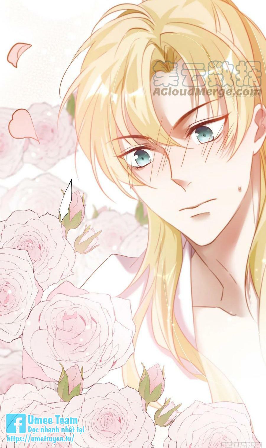 lục thân bất nhận chapter 82 4