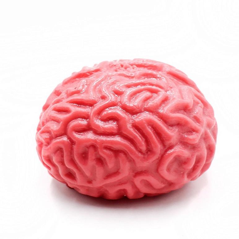 BỘ ÓC Squishy Mochi đồ chơi bóp tay mềm mịn dễ thương chân thực giảm stress co dãn đàn hồi ngộ nghĩnh