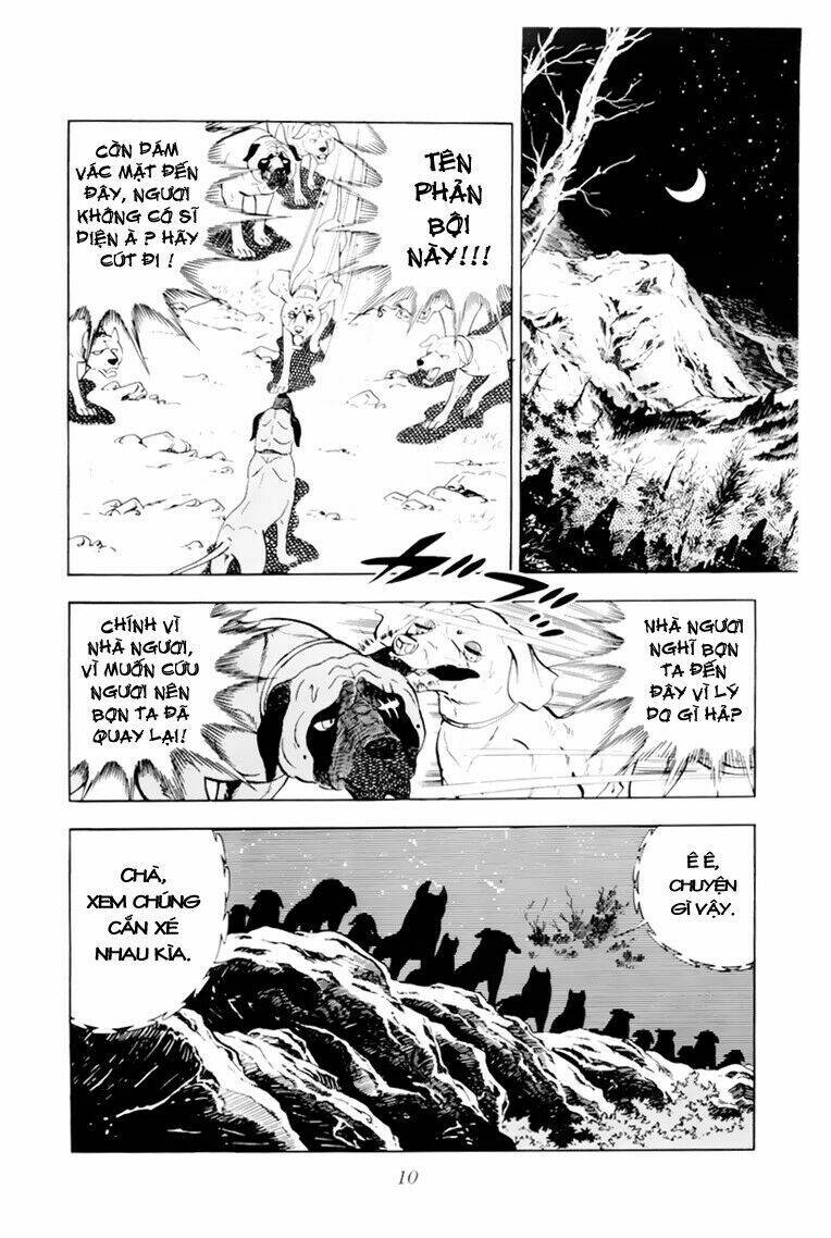chú chó có nghĩa - ginga nagareboshi gin chapter 31 11