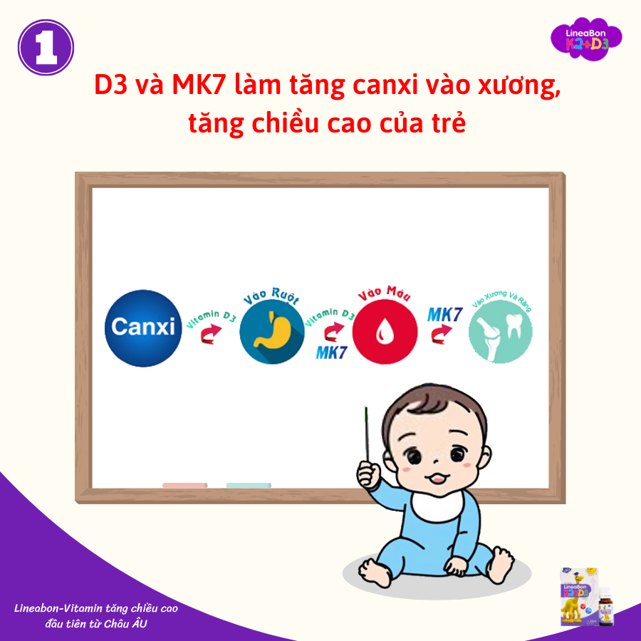 Lineabon bổ sung K2 và vitamin D3 - Có tem tích điểm đổi quà, giúp hấp thụ canxi, giảm còi xương, tăng chiều cao cho bé