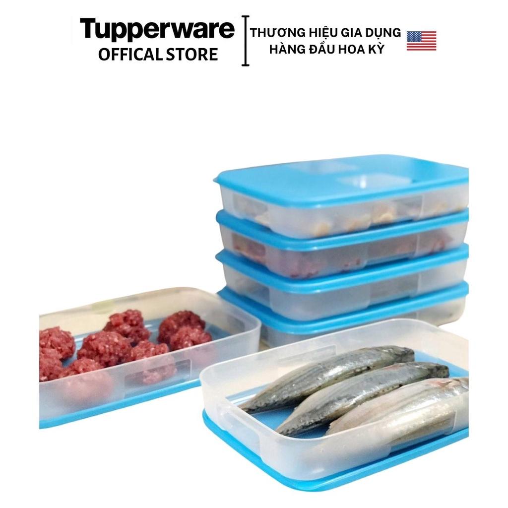 Bộ Hộp Trữ Đông Happy Set 550ml (4 Hộp) - Tupperware