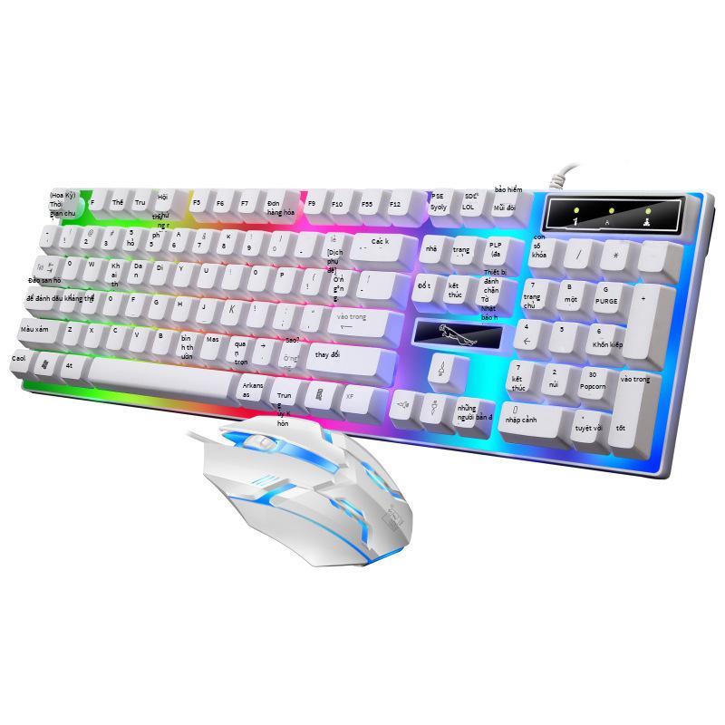 Khuyến mãi bộ bàn phím và chuột đuổi bắt ánh sáng da báo G21B bộ bàn phím và chuột có dây usb bộ thao tác có dây bộ bàn phím và chuột da tôm eBay