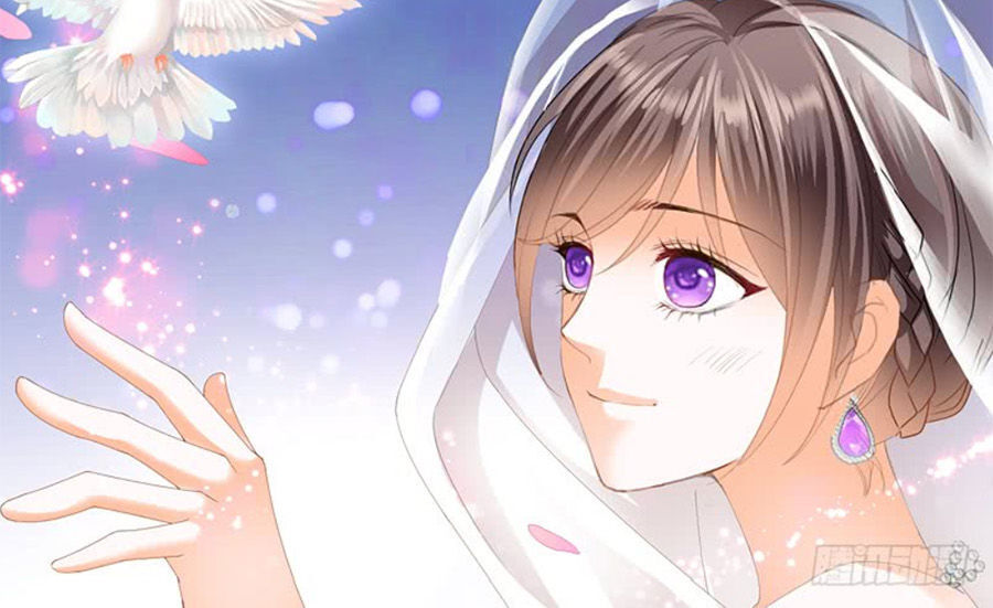 lóe thiểm hôn kiều thê mơ tưởng trốn chapter 214 11