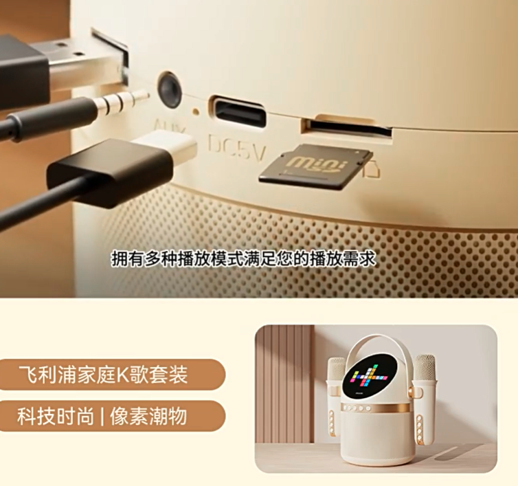LOA KARAOKE TẶNG KÈM 2 MICRO TAS2508WT/93 SỬ DỤNG ĐỂ NGHE NHẠC VÀ HÁT-HT