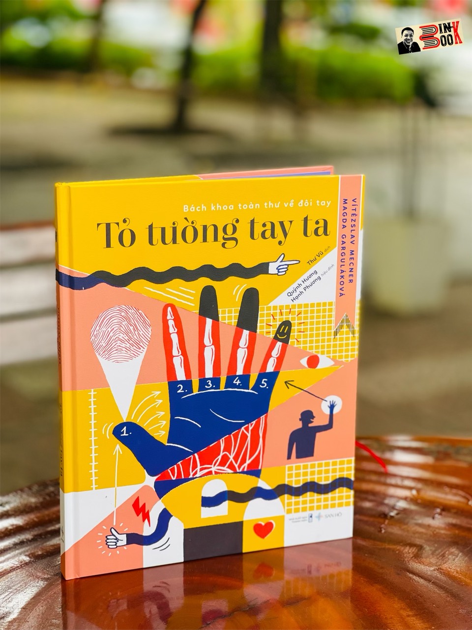 TỎ TƯỜNG TAY TA – Bách khoa toàn thư về đôi tay - Vítězslav Mecner - Magda Garguláková - Thư Vũ dịch - San Hô Books – NXB Thanh niên