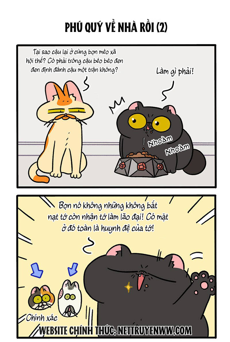 a mãn và mạch trà chapter 46 3