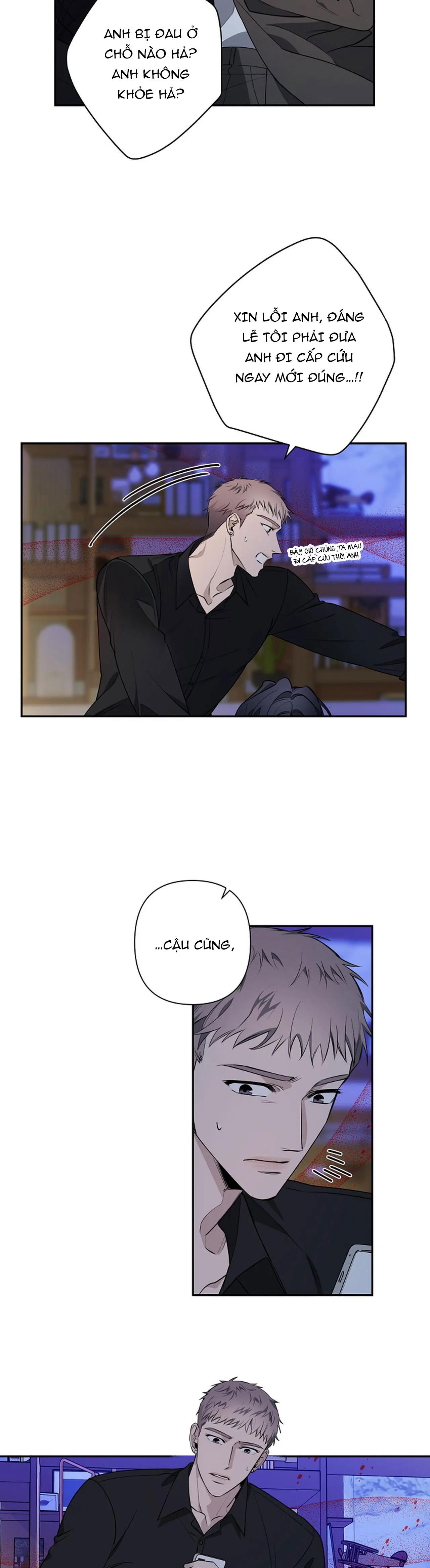 đêm dịu dàng chapter 38 11