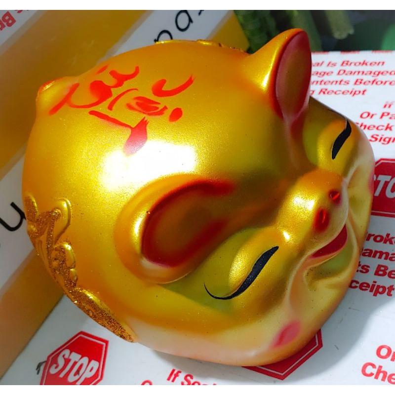 Heo đất mắt híp, lợn đất mắt híp