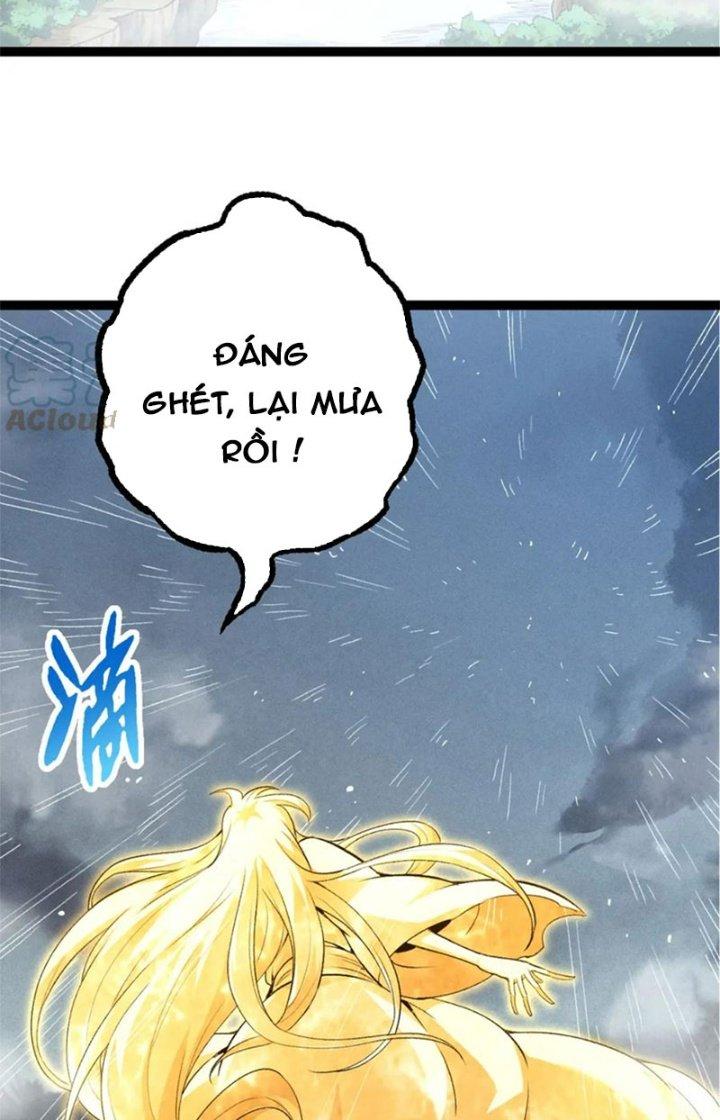 từ cây cổ thụ bắt đầu tiến hóa chapter 16 34