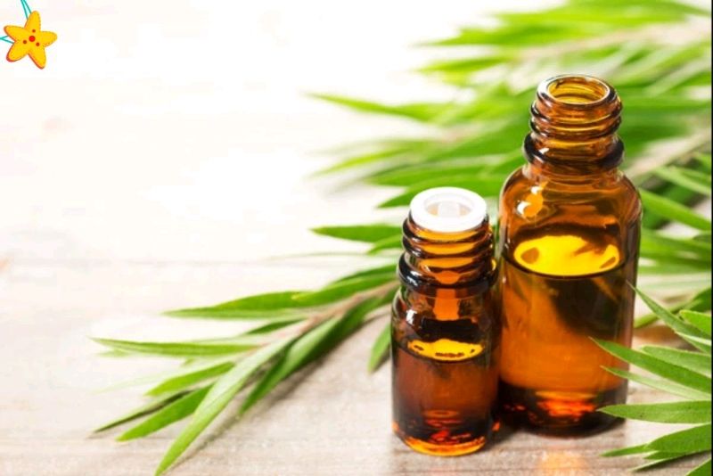 Tinh Dầu Tràm Nguyên Chất Giúp Giữ Ấm Cơ Thể, Giải Cảm - Tinh Dầu Tràm Gió TIDAMO 10ML Xông Thơm Phòng, Đuổi Muỗi và Bảo Vệ Sức Khỏe