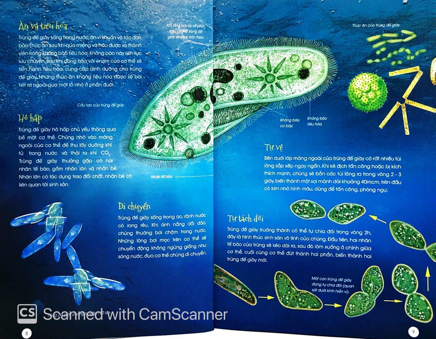 Sách Động Vật Kỳ Quặc