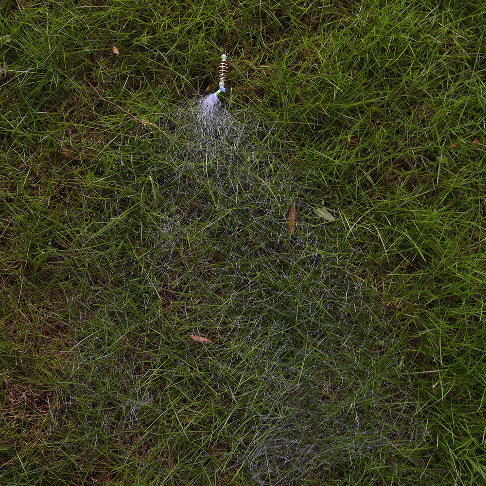 Bộ 2 Lưới Bắt Cá Có Hạt Phát Sáng