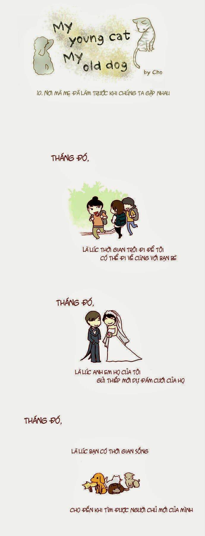 mèo con và chú chó già của tôi chapter 10 1