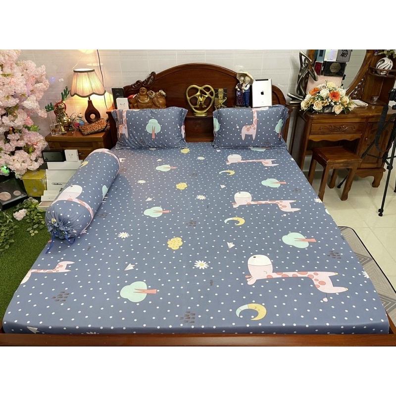 Drap thun hàn quốc