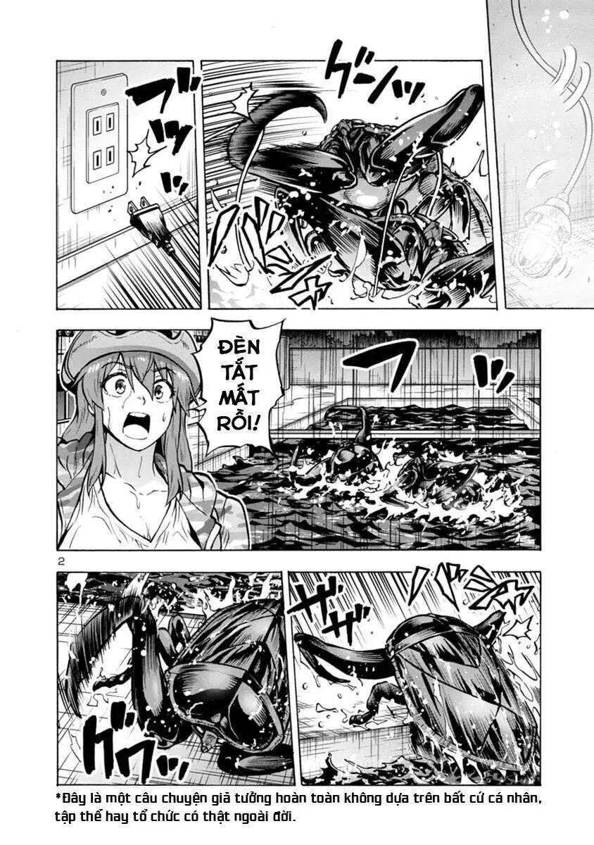 Siêu Đảo Côn Trùng chapter 19.2 2