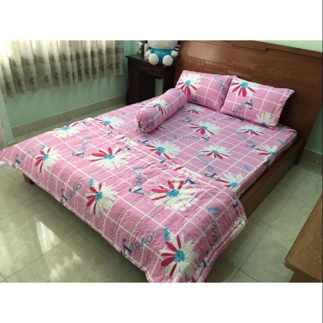 Bộ 4 món drap+áo gối cotton thắng lợi