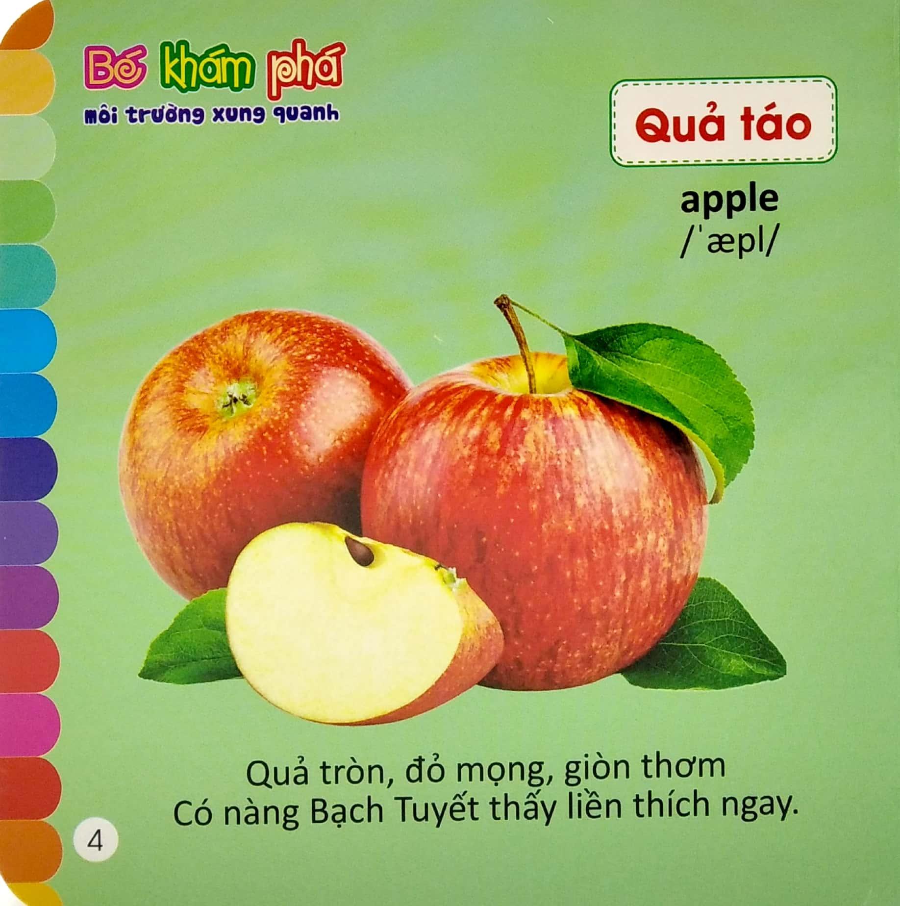 Bé Khám Phá Môi Trường Xung Quanh: Trái Cây - Fruits