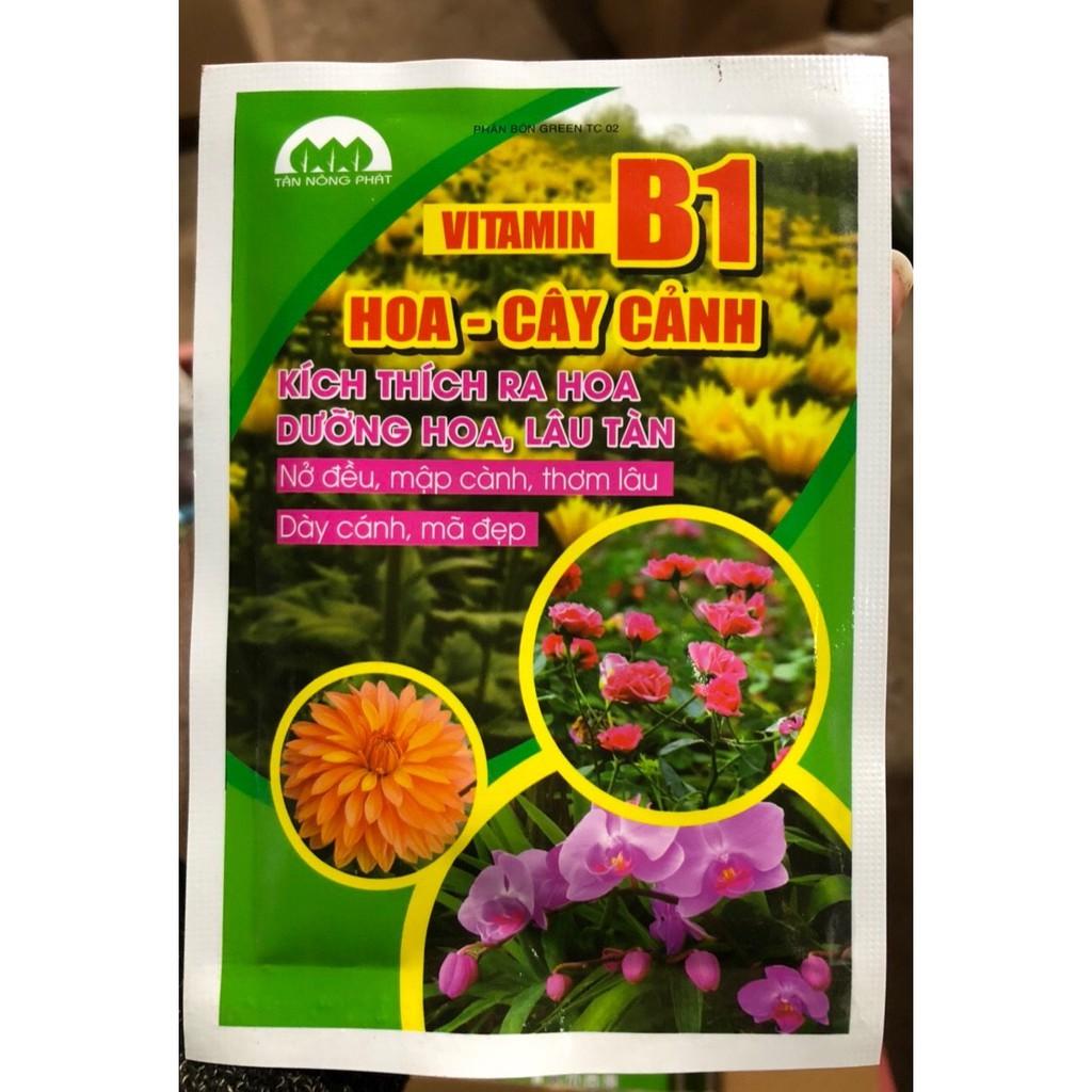 Vitamin B1 Hoa Hồng, Lan - Cây cảnh, kích thích ra hoa, dưỡng hoa lâu tàn (30g)