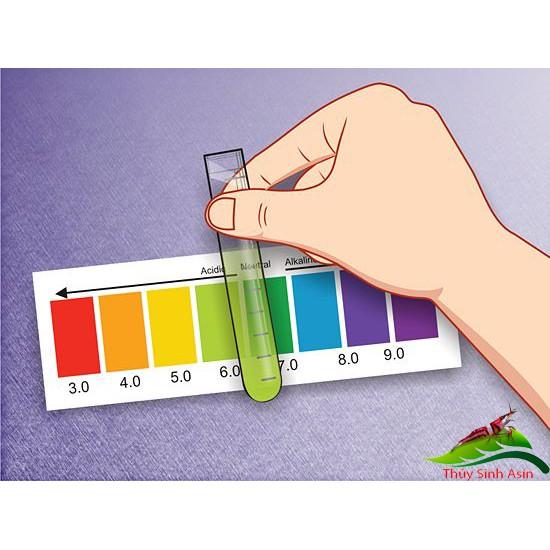 Dung Dịch Kiểm Tra Đo pH cho hồ cá