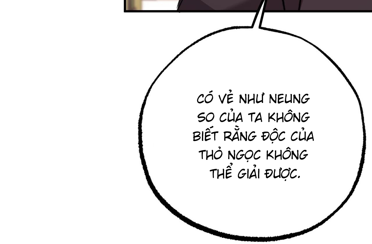 đàn thỏ của habibi chapter 62 71