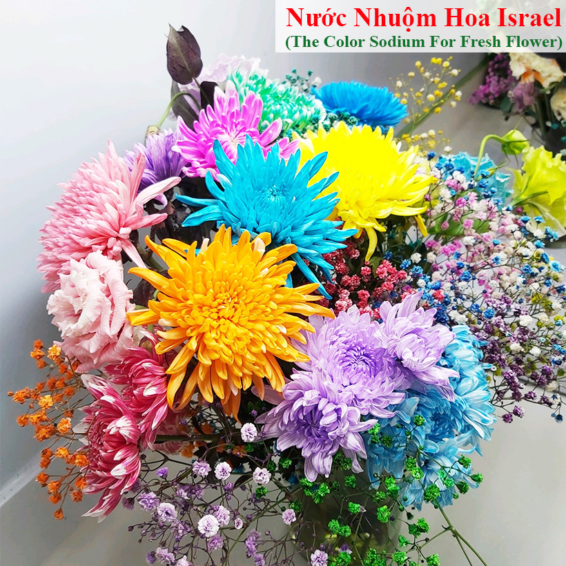 Nước Màu Nhuộm Hoa Tươi Màu Cam Israel Color Sodium For Fresh Flowers
