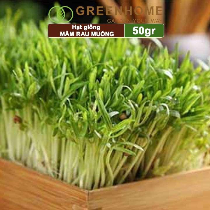 Hạt giống Mầm rau muống, gói 50g, dễ trồng, thu hoạch nhanh R17