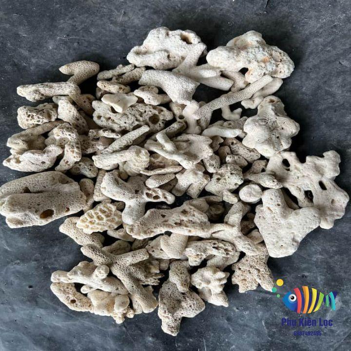 San Hô Vụn Dùng Để Lọc Nước 1kg