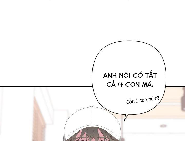 able chapter 28.2 19