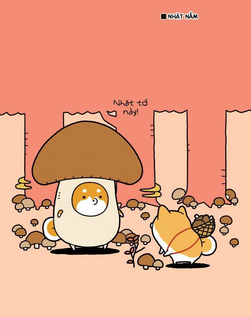 taru shiba chapter 6 11