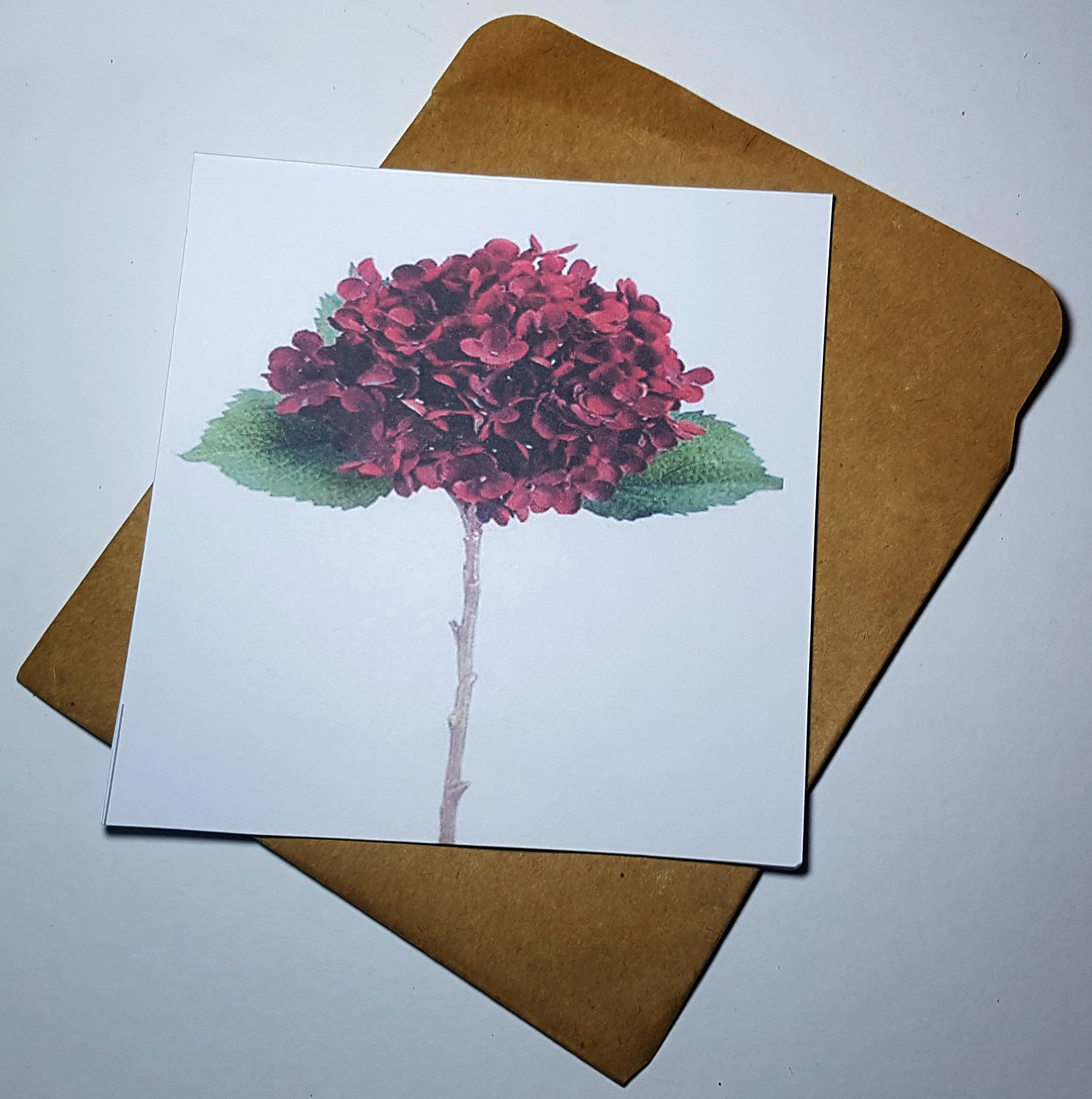 Thiệp phong cách Vintage card quà cám ơn ,chúc mừng sinh nhật và giử tặng người thân yêu.