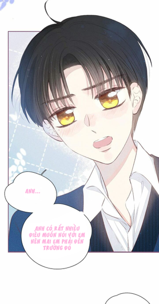 nỗi buồn của hoa cẩm tú cầu chapter 37 4