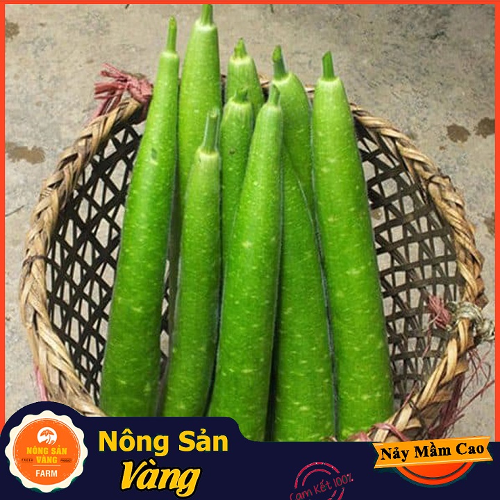 Hạt giống Bầu Dài , Bầu Sao Lai ( Gói 10 Hạt ) - Nông Sản Vàng